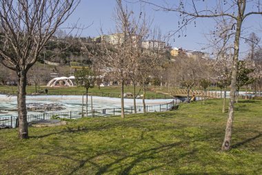 İstanbul 'da arka planında açık gökyüzü olan yeşil çimenli ve ağaçlı bir park