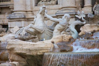 İtalya, Roma 'daki Trevi Çeşmesine tünemiş bir martının yakın çekimi.