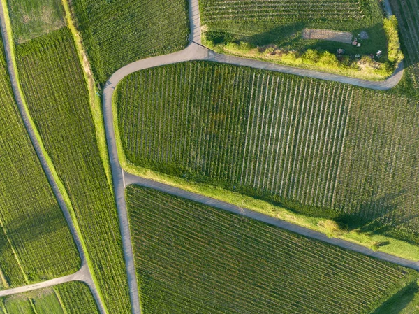 Una Vista Aérea Campo Verde Campo Ideal Para Fondos Diseño — Foto de Stock