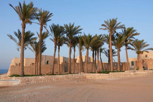 日落时埃及玛萨阿拉姆的石屋和棕榈树景观 — 图库照片