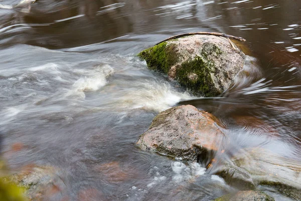 Salaca Nehri Yosunlu Taşların Üzerinden Akar Letonya Staicele — Stok fotoğraf