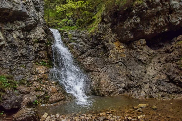 Slovakya 'daki küçük şelalenin güzel bir görüntüsü