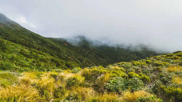 Yeni Zelanda 'daki ünlü Taranaki Dağı' nın güzel bir manzarası.