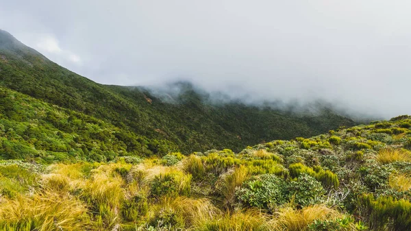 Μια Όμορφη Θέα Του Διάσημου Όρους Ταρανάκη Στη Νέα Ζηλανδία — Φωτογραφία Αρχείου