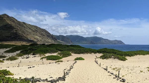 Ein Weißer Sandweg Mit Wilden Pflanzen Einem Strand Mit Bergen — Stockfoto