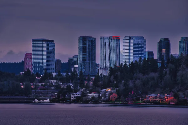 Avlägsen Över Skyline Downtown Bellevue Med Sjön Förgrunden Washington Usa — Stockfoto