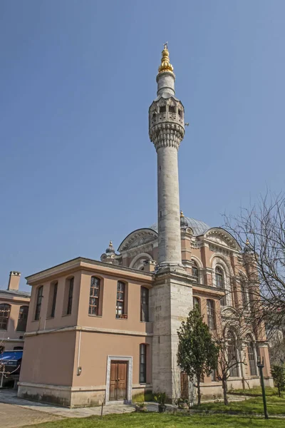 Plan Vertical Mosquée Sadabat Dans District Kagithane Sur Rive Corne — Photo