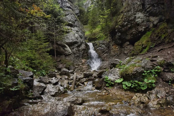 Una Hermosa Toma Cascada Pequeña Eslovaquia — Foto de Stock
