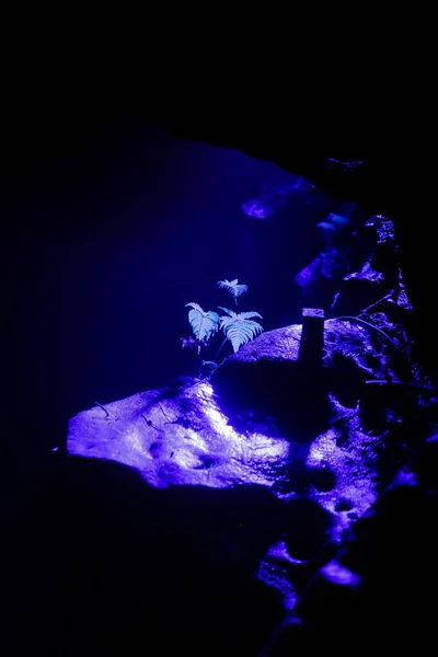Une Vue Panoramique Intérieur Des Grottes Shuanghedong Avec Des Lumières — Photo