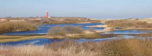 Paisaje Lighthouse Texel Norte Texel Island Países Bajos — Foto de Stock