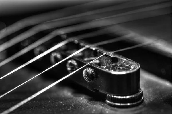 Fecho Tons Cinza Das Cordas Guitarra Ponte — Fotografia de Stock