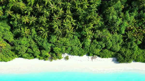 Eine Drohnenaufnahme Einer Wunderschönen Tropischen Insel Mit Palmen Einem Sandstrand — Stockfoto