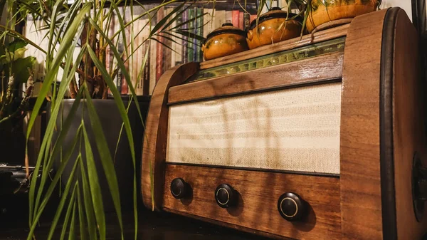 Una Caja Pan Madera Vintage Con Macetas Una Planta — Foto de Stock