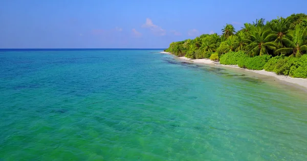 Güzel Bir Deniz Manzarası Ada Palmiyeleri — Stok fotoğraf
