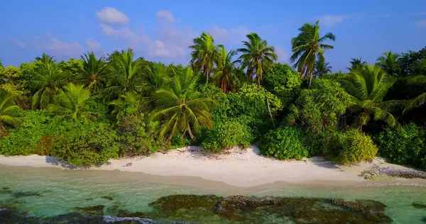 Una Vista Aérea Una Hermosa Isla Tropical Con Algas Palmeras — Foto de Stock