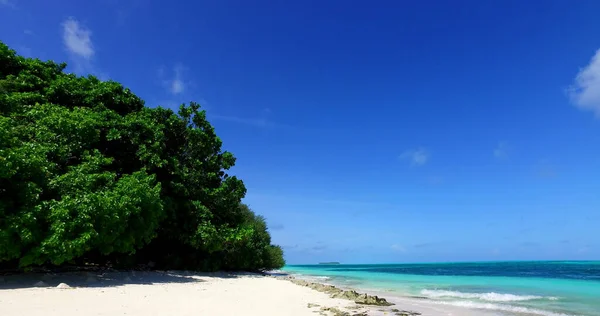 Maldivler Sahil Şeridinde Açık Okyanuslu Güzel Bir Yeşil Ağaç Görüntüsü — Stok fotoğraf