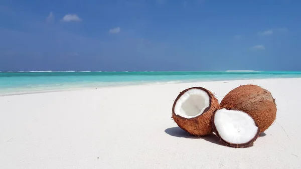 Kokosnoten Het Strand — Stockfoto