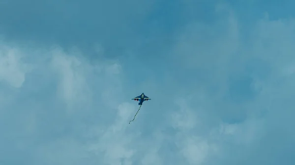 Papagaio Voando Céu — Fotografia de Stock