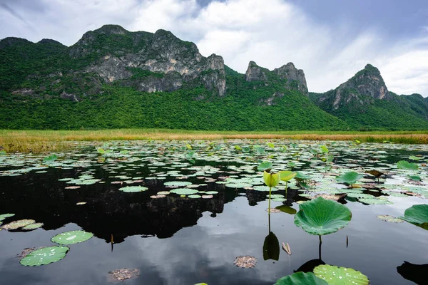 Una Jungla Nenúfares Una Montaña Parque Nacional Sam Roi Yot — Foto de Stock