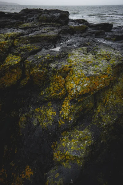 Vertikal Bild Stenar Täckta Med Mossa Nära Havet — Stockfoto