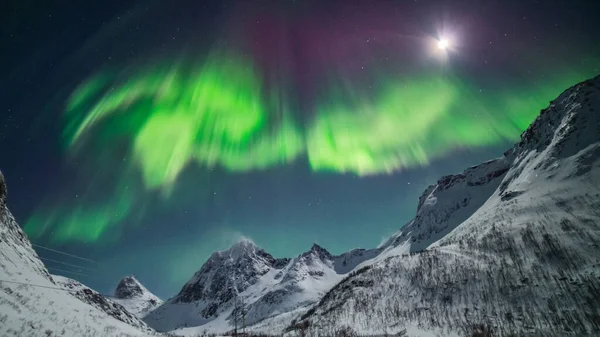 Bellissime Aurore Boreali Nel Cielo Notturno Senja Norvegia Strati Montagna — Foto Stock