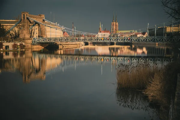 Odra Floden Speglar Breslau Stadshus Och Lövlösa Träd Vattnet — Stockfoto