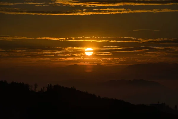 Malebný Pohled Západ Slunce Nad Lesem — Stock fotografie