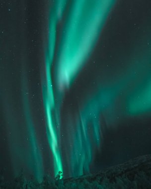 Norveç, Senja 'nın büyüleyici manzarası. Aurora Borealis temalı.