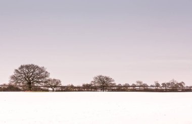 Oxfordshire, İngiltere 'de çıplak ağaçlarla kaplı karlı bir arazi.