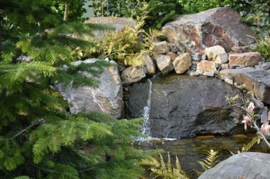 Bahçe havuzu manzarası ve küçük bir şelale.