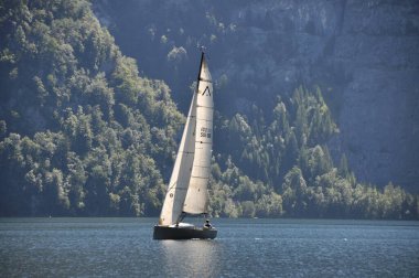 Yukarı Avusturya 'da Traunsee Gölü' nde bir yelkenli.