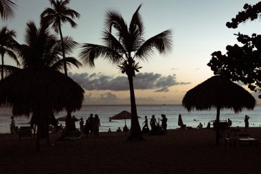 Palmiye ağaçlarının siluetleri ve gün batımında Bayahibe sahilinde dinlenen insanlar, Dominik Cumhuriyeti