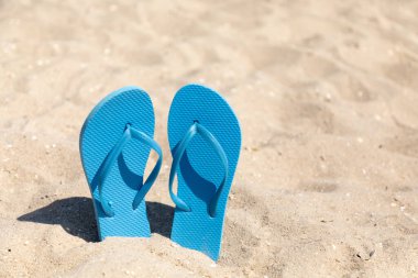 Güneşli bir plajda mavi taklalar