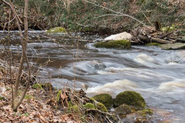Puzupite nehri güçlü akışıyla, Staicele, Letonya