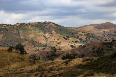 Yarı kurak bir tepe manzarası.