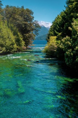 Mavi gökyüzünün altında açık deniz ve ormanın doğal bir görüntüsü.
