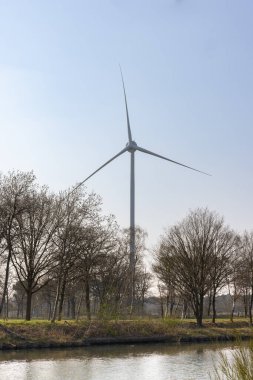 Hollanda 'nın Limburg ilindeki bir yel değirmeninin dikey çekimi