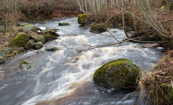 Piękny Widok Rzekę Salaca Przepływa Przez Kamienie Lesie Łotwa — Zdjęcie stockowe