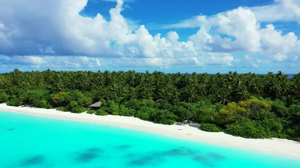 Die Dicht Grünen Bäume Meer Unter Wolkenverhangenem Himmel — Stockfoto