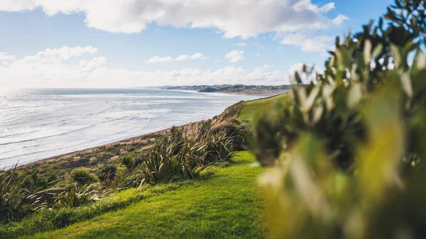 Una Hermosa Vista Del Paisaje Las Plantas Los Acantilados Paisaje — Foto de Stock