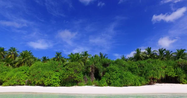 Árvores Verdes Uma Praia Areia Junto Oceano — Fotografia de Stock
