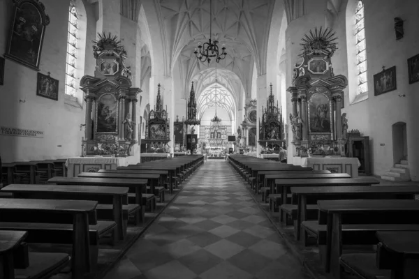 Монохромне Захоплення Базиліки Церкви Святої Анни Польщі — стокове фото