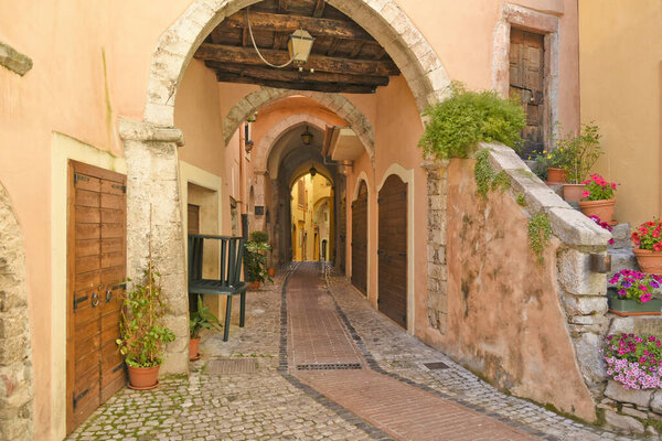 A narrow cobblestone corridor path between old medieval buildings.