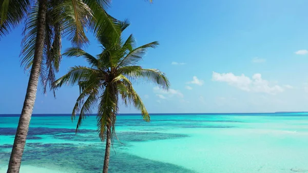 Una Playa Tropical Maldivas —  Fotos de Stock