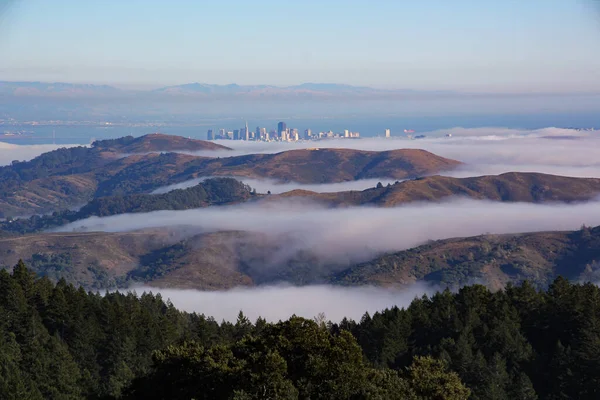 Malownicze Ujęcie Pokrytych Mgłą Wzgórz Miasta Los Angeles Tle — Zdjęcie stockowe