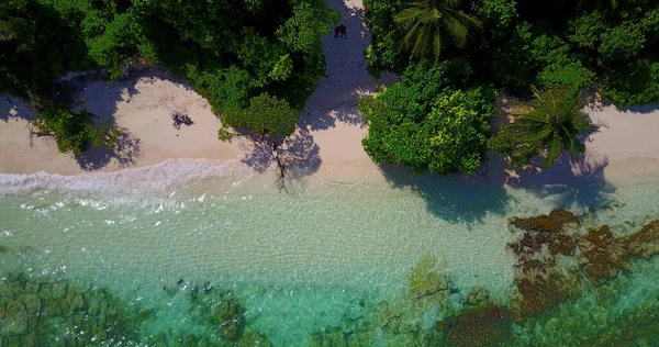 Вид Тропический Пляж Мальдивах — стоковое фото