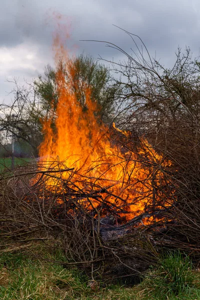 森の中で燃える木片と枝のショット — ストック写真