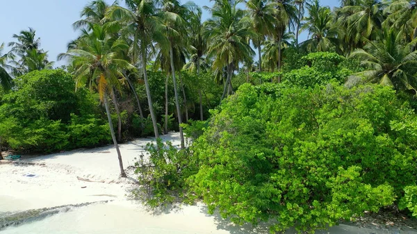 Una Vista Panorámica Una Playa Arena Con Árboles Tropicales Día — Foto de Stock