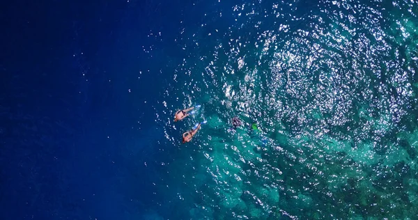 Una Hermosa Vista Una Pareja Nadando Mar Azul Claro Día —  Fotos de Stock