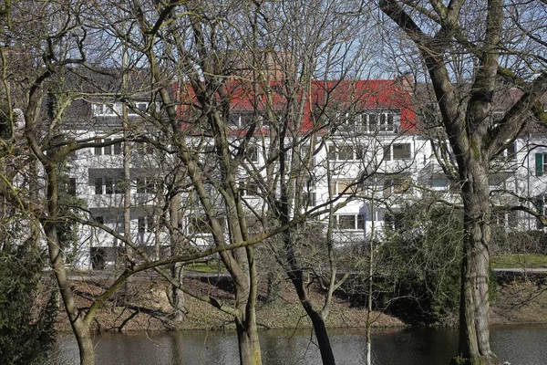 Viele Kahle Bäume Mit Den Mehrfamilienhäusern Hintergrund Winter Bremen — Stockfoto